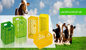 parss11236